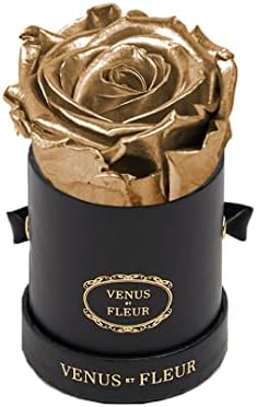 Venus et Fleur Le Mini Yuvarlak Tekli-Kutuda Orijinal Korunmuş Gül-Bir Yıl Süren Gerçek Güller-Siyah Hediye Kutusu, Altın