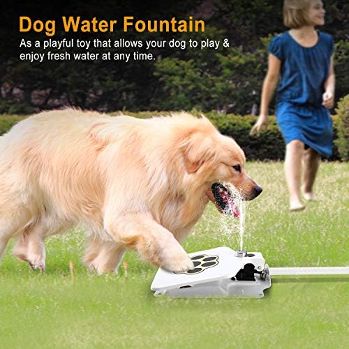 ıMounTEK Köpek su çeşmesi Açık Köpek Pet su sebili Step-on Aktif Yağmurlama w / İnteraktif Pençe Pedalı Vana İçme Suyu için