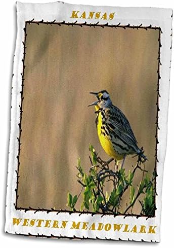 3dRose Florene Eyalet Kuşları - Kansas'ın Batı Çayır Kuşu Eyalet Kuşu-Havlular (twl-50956-1)
