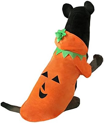 Giveme5 Kabak Büyük Köpek Pooch Cadılar Bayramı Kostüm Giyim Pet Suit Sonbahar Kış Kazak (2XL)