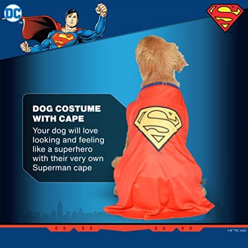 DC Comics Süper Kahraman Süpermen Cadılar Bayramı Köpek Kostümü - Büyük Beden - / Köpekler için DC Süper Kahraman Cadılar