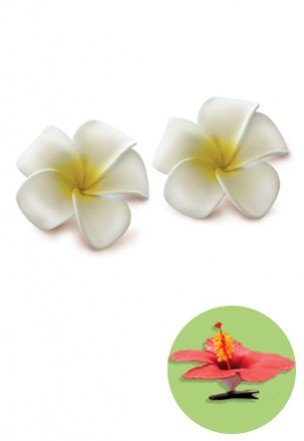 Baby Plumeria Klipsli Köpük Çiçekler-Beyaz w/ Sarı (2'li set)