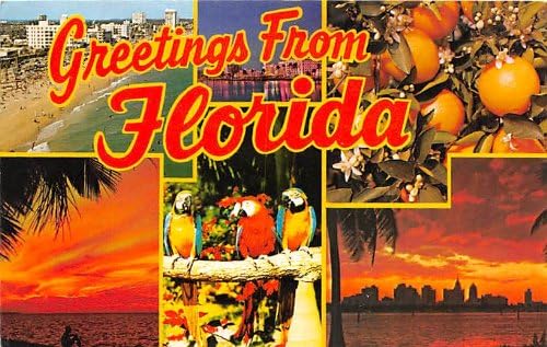 Florida Kartpostalından selamlar
