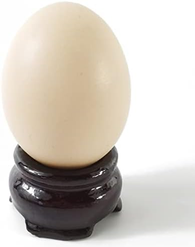 NSBELL 20 ADET 2 Boyutları Ahşap Yumurta Standları Tutucular Ekran Standı Topu Yumurta Tabanı Kristal Top Küre Küre Taş Dekor