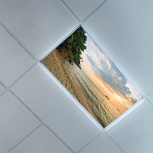 Tavan lambası difüzör Panelleri için Floresan ışık kapakları-Manzara Deseni-Sınıf Ofisi için Floresan ışık kapakları - 2ft