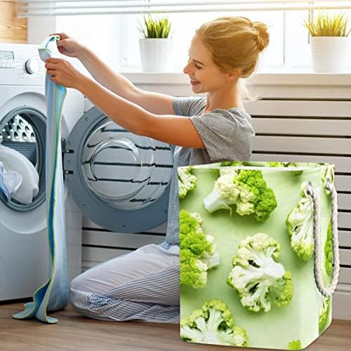 Inhomer sebze bitkileri Brokoli Büyük çamaşır sepeti Su Geçirmez Katlanabilir Giysi Sepeti Sepet Giyim Oyuncak Organizatör,
