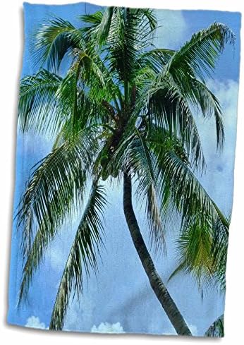 3dRose Florene Ağaçları-Palm Perfect-Havlular (twl-20994-1)