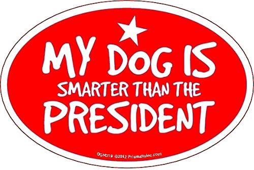 Köpeğim Başkandan Daha Zeki