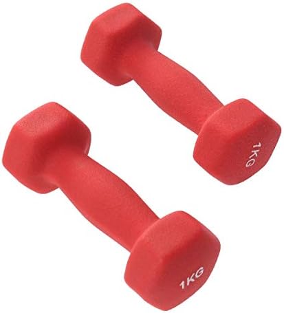 2 ADET Halter Barbells El Bar Yoga Egzersiz Fitness Kadınlar Egzersiz Halter 1kg-Kırmızı