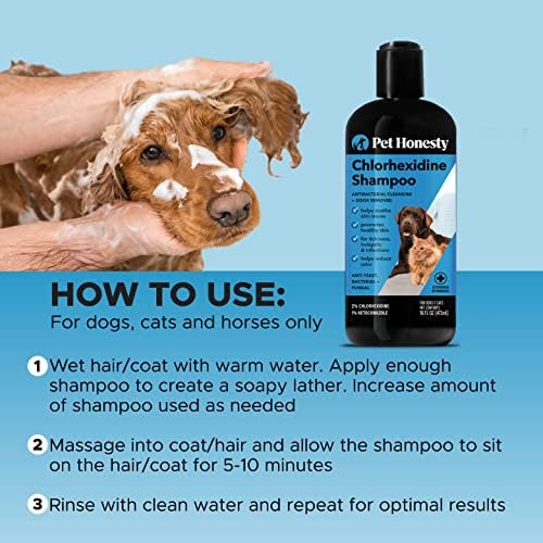 PetHonesty Klorheksidin Şampuanı-Köpekler ve Kediler için Ketokonazol ve Aloe - Kaşıntıya, Sıcak Noktalara, Piyoderma ve