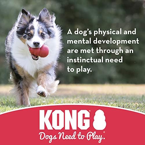KONG-Puppy Flyer-Diş Çıkarma Kauçuğu, Uçan Disk Köpek Oyuncağı (Çeşitli Renkler) - Küçük Yavru Köpekler için