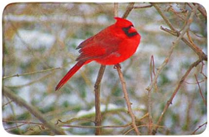 Topyee Banyo Dekor 16 X 24 Banyo Paspas Renkli Hayvan Kardinal Ekstremite Kırmızı Kuş Kuş Şube Rahat banyo paspası Kaymaz