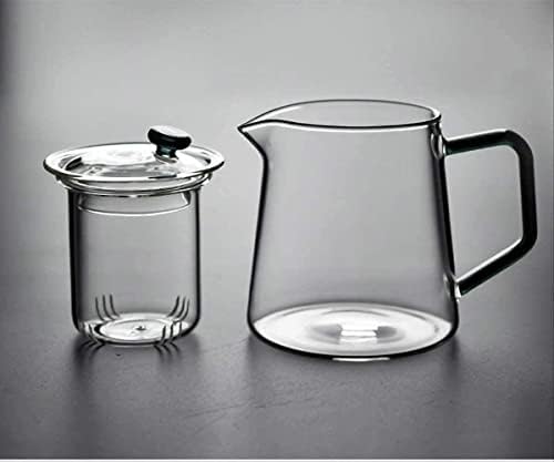 HaveFun su ısıtıcısı çaydanlık su ısıtıcısı 500 Ml ısıya dayanıklı cam çaydanlık filtre demlik